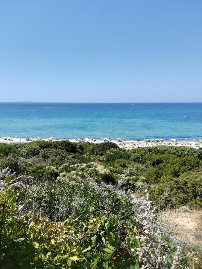 Sea Paradise Apartment Valledoria  Exterior photo